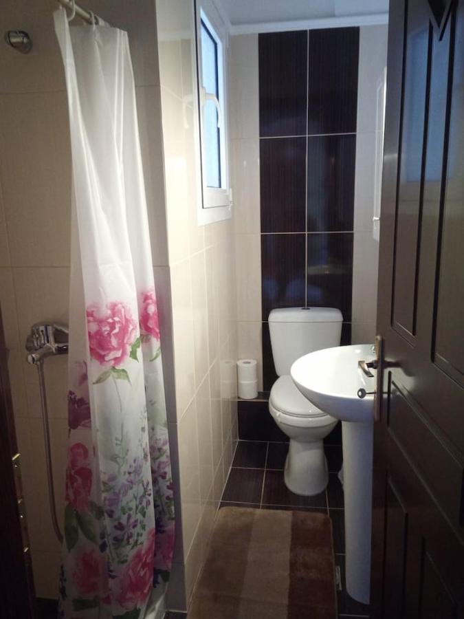 Teo'S House 1 Apartman Kalambáka Kültér fotó